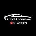 pro-deteiling logo